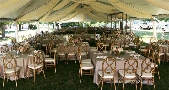 Stackable 15.5 Inch Wedding Chiavari Chair With Optional Cushion 3 Year Warranty